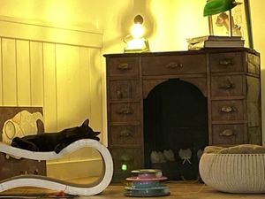   at Romeow Cat Bistrot in Rome