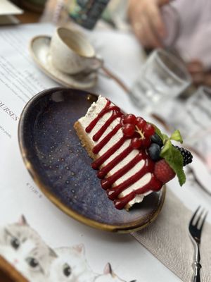   at Romeow Cat Bistrot in Rome