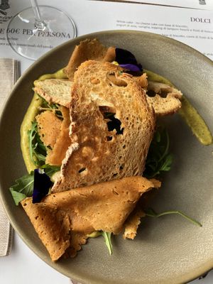 Starter  at Romeow Cat Bistrot in Rome