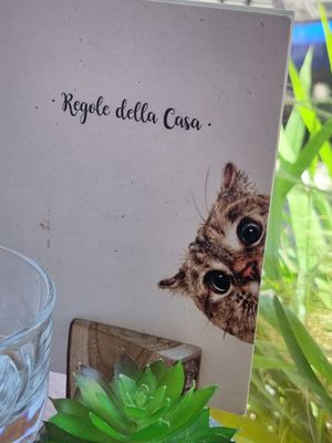  at Romeow Cat Bistrot in Rome