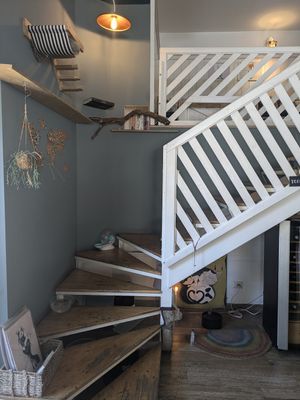  at Romeow Cat Bistrot in Rome