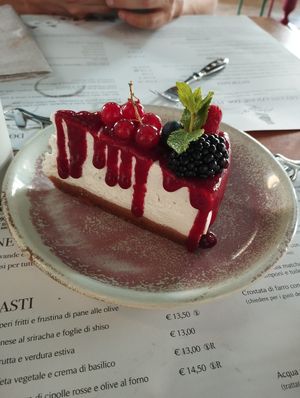 Cheesecake at Romeow Cat Bistrot in Rome