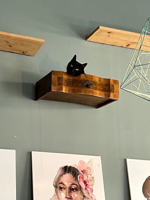  at Romeow Cat Bistrot in Rome