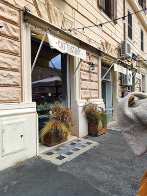  at Romeow Cat Bistrot in Rome