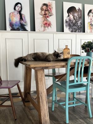   at Romeow Cat Bistrot in Rome