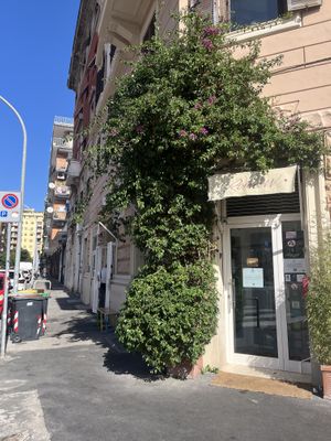 Outside 😍🌿  at Romeow Cat Bistrot in Rome