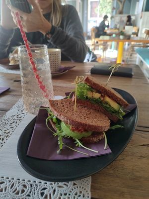 Kombucha and a Sun-Dried Tomato, Rucola and Avo Sandwich 🥑 🥪 at Romeow Cat Bistrot in Rome