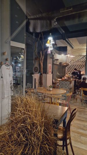  at Romeow Cat Bistrot in Rome