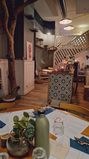  at Romeow Cat Bistrot in Rome