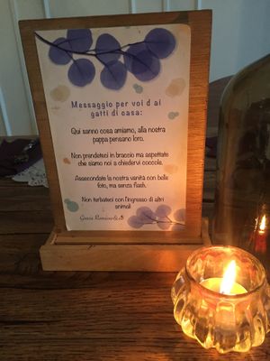 Ottime regole da seguire per interagire con i padroni di casa felini at Romeow Cat Bistrot in Rome
