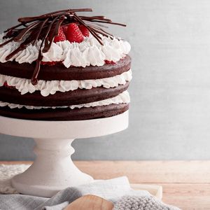 Foresta nera at Romeow Cat Bistrot in Rome