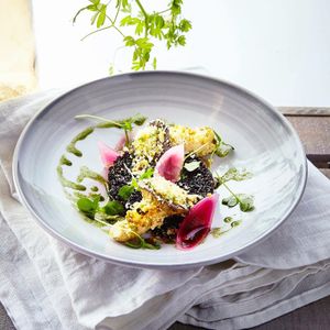 Pleurotus mushroom  at Romeow Cat Bistrot in Rome