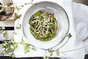 Tè matcha pasta, peas cream and dry tomatoes at Romeow Cat Bistrot in Rome