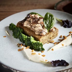 Polenta at Romeow Cat Bistrot in Rome