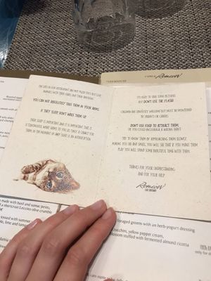 House rules at Romeow Cat Bistrot in Rome