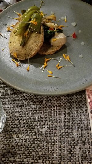 Tofu at Romeow Cat Bistrot in Rome