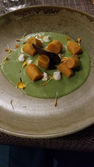 Raw carrot gnocci with macadamia cheese in pea sauce at Romeow Cat Bistrot in Rome