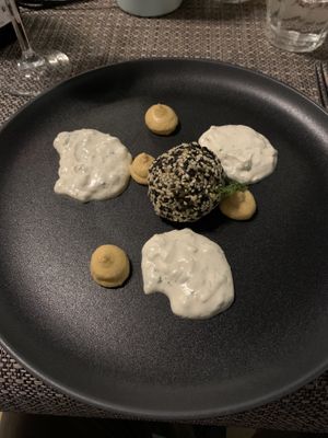 Falafel with hummus and tzatziki at Romeow Cat Bistrot in Rome