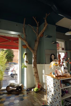 The front of the cafe at Romeow Cat Bistrot in Rome