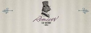Romeow Cat Bistrot at Romeow Cat Bistrot in Rome