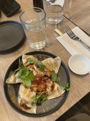 five spice chicken dumplings at Beyond Sushi in New York City