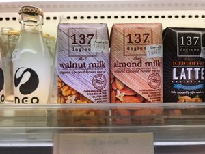 Walnut and almond milk at Kitsch et Bio in Nagoya