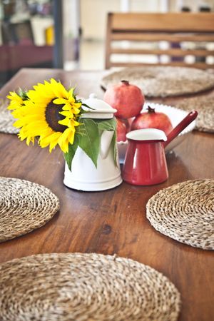 Feeling ecological nature at Cositasricas in Ibiza