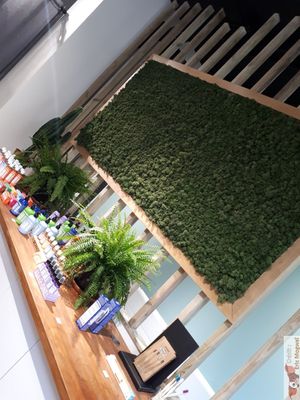 Vegetal wall at Veganie in Paris