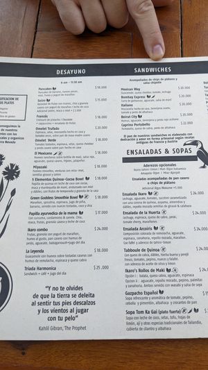 Menu at Ikaro Cafe in Santa Marta