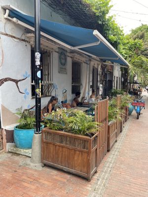   at Ikaro Cafe in Santa Marta