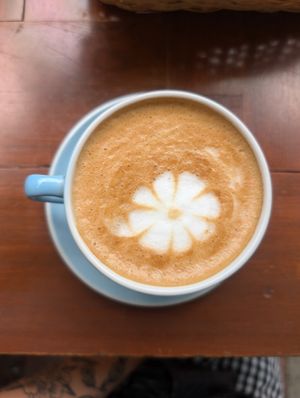  at Ikaro Cafe in Santa Marta