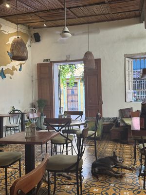   at Ikaro Cafe in Santa Marta