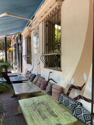   at Ikaro Cafe in Santa Marta