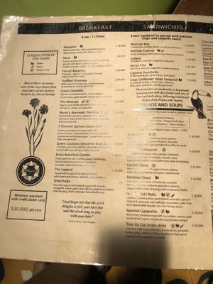   at Ikaro Cafe in Santa Marta