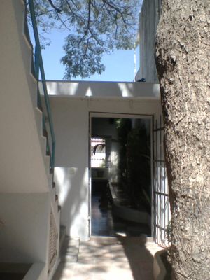 iKaro Café at Ikaro Cafe in Santa Marta