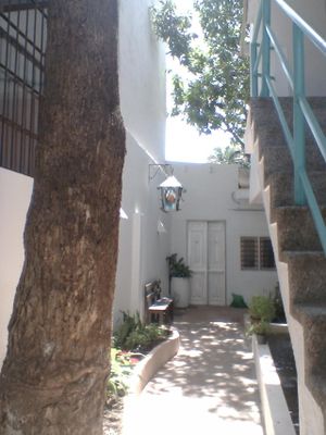 iKaro Café at Ikaro Cafe in Santa Marta