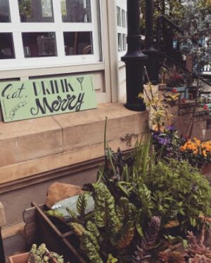 Eat, drink and be merry at Kafe Botanika in San Sebastian