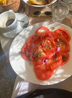   at Kafe Botanika in San Sebastian