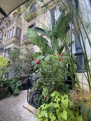   at Kafe Botanika in San Sebastian