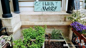 Kafe Botanika at Kafe Botanika in San Sebastian