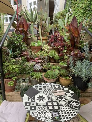   at Kafe Botanika in San Sebastian