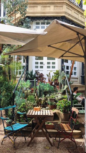 Perfect place to sit  at Kafe Botanika in San Sebastian