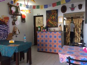 colors at Flor de Loto in Cali