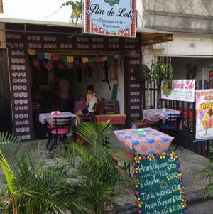 entrance  at Flor de Loto in Cali