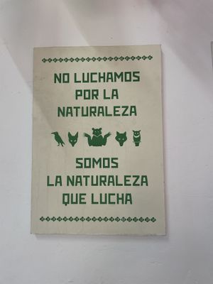   at Flor de Loto in Cali