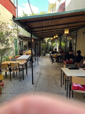   at Babaghanoush in Pristina