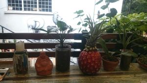 ananas deco  at Centeno Restaurante Vegetariano in Medellin