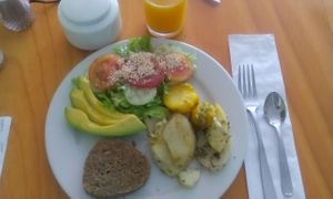 Meal of the day, 1-4-2016 at Naturlandia in Medellin