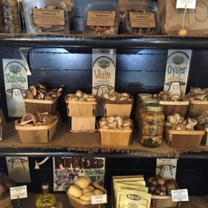 mindblowing mushroom selection - all locally grown at River Valley Farmer's Table in Chicago