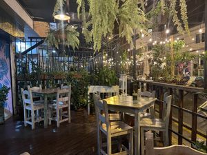 View from the terrace  at Chana Plant Based in Medellin